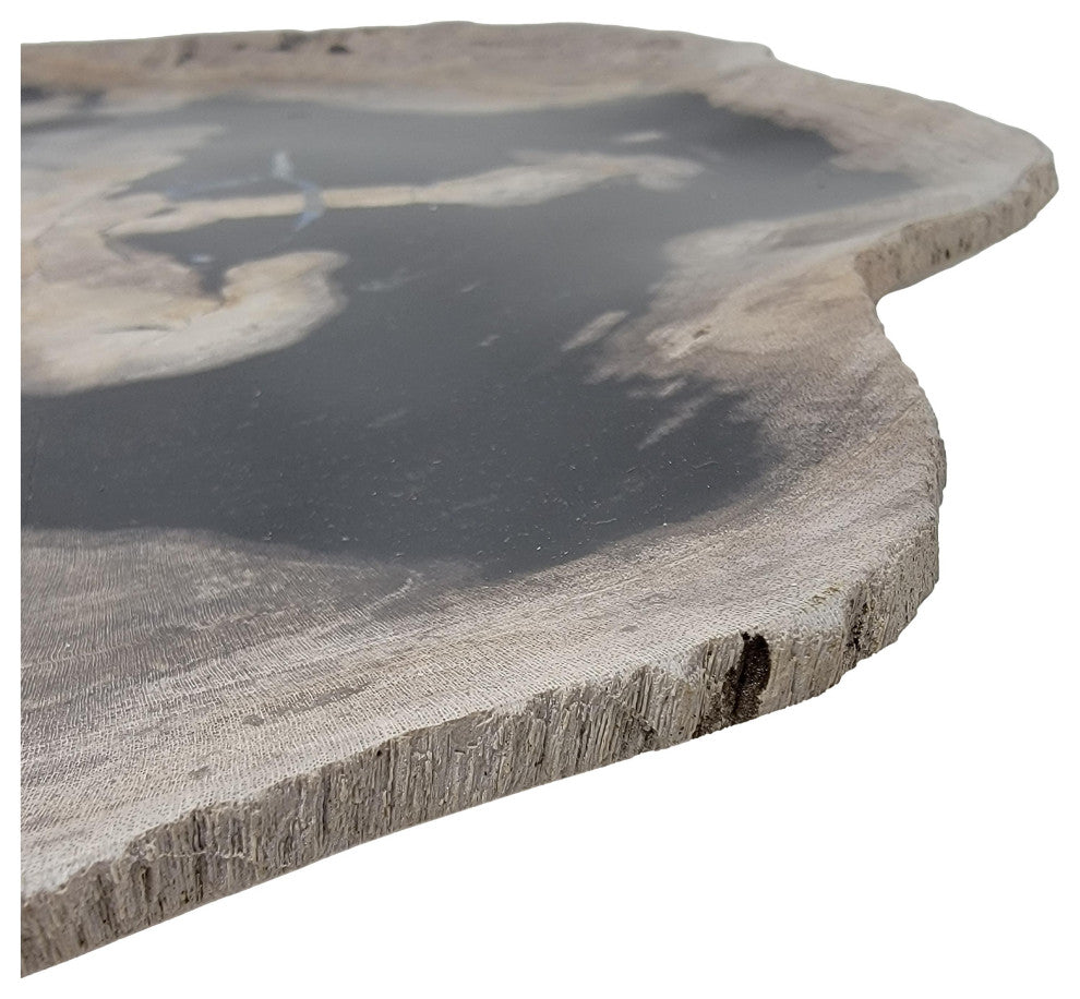 Large 17 in Petrified Wood Stone Tray Centerpiece Plate Fossil Live Edge Natural