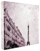 "Paris Heart Storm" Stretched Canvas Wall Art