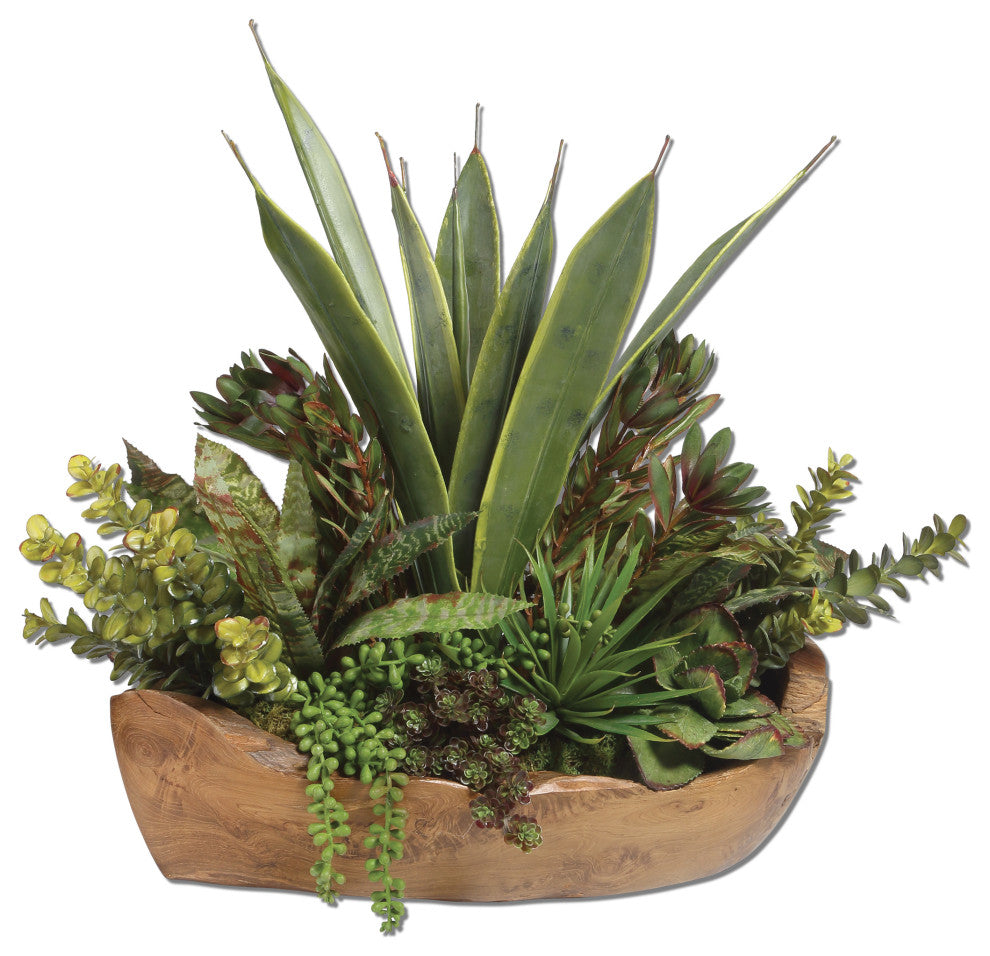 Uttermost Salar Succulents Plant In Teak Bowl