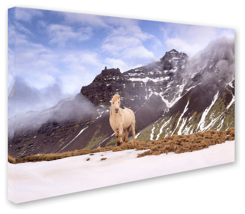 Michael Blanchette Photography 'You Looking At Me' Canvas Art, 47x30
