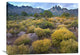 "Organ Mountains, Chihuahuan Desert, New Mexico" Artwork, 32" x 24"