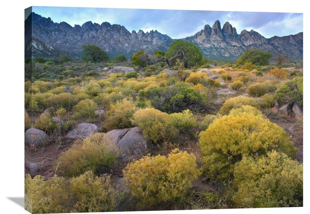 "Organ Mountains, Chihuahuan Desert, New Mexico" Artwork, 32" x 24"
