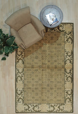 Green Transitional All Over Ningxia Area Rug