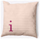 20" x 20" Modern Monogram Indoor/Outdoor Polyester Throw Pillow, Dusty Rose