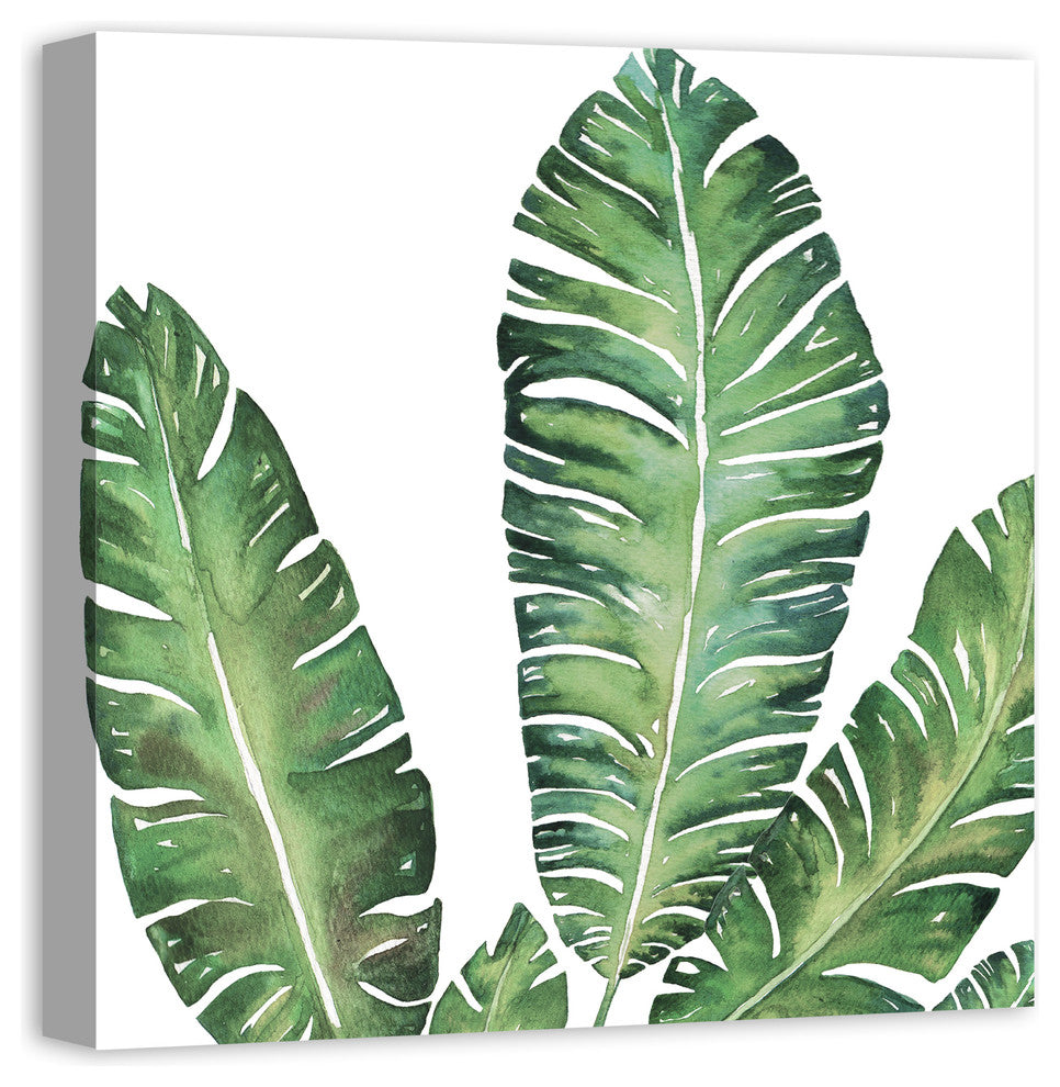 Banana Leaves 24x24 Canvas Wall Art