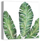 Banana Leaves 24x24 Canvas Wall Art