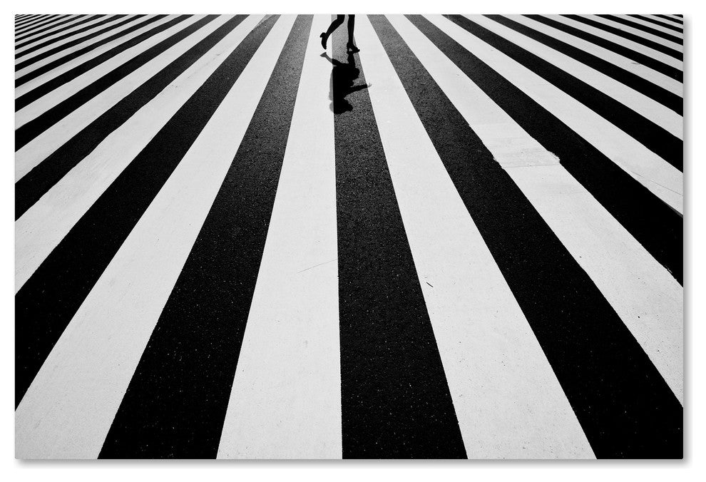 Kouji Tomihisa 'Black And White' Canvas Art, 24x16