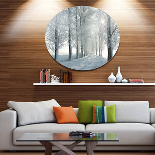 Winter Trees Backlit By Morning Sun, Forest Disc Metal Artwork, 23"