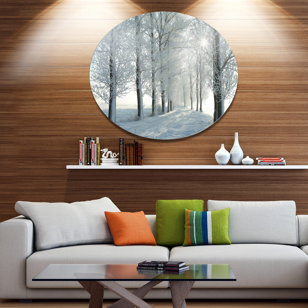 Winter Trees Backlit By Morning Sun, Forest Disc Metal Artwork, 23"