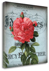 "Petite Rose I" By Sabine Berg,Ready to Hang Giclee Print on Gallery Wrap Canvas