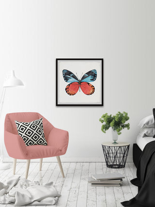 "Symmetrical Wings" Framed Painting Print, 18x18
