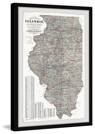 "Detailed Illinois State Map" Framed Painting Print, 24x36