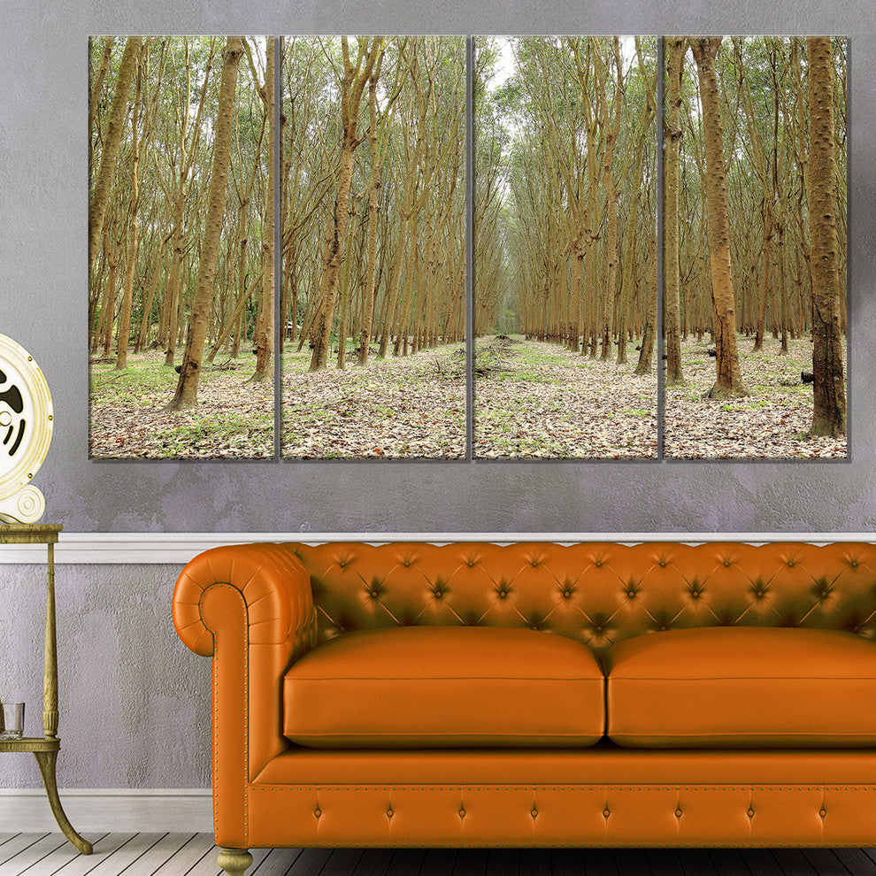 Rubber Trees Row in Thailand, Modern Forest Canvas Art, 48"x28", 4 Panels