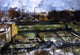 Lovis Corinth View from the Studio Wall Decal