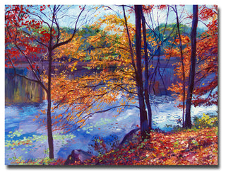 'Falling Leaves' Canvas Art by David Lloyd Glover