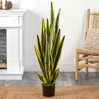 Product shown in a real room setting; plant fully visible; no text overlays.