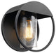 Neruda Black Outdoor Indoor Wall Sconce, Seeded Glass Shade