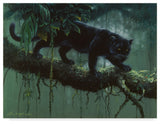 Harro Maass 'Black Jaguar Stalking' Canvas Art, 47"x35"