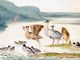 Tile Mural River Landscape By Johannes Bronckhorst, 6"x8", Glossy