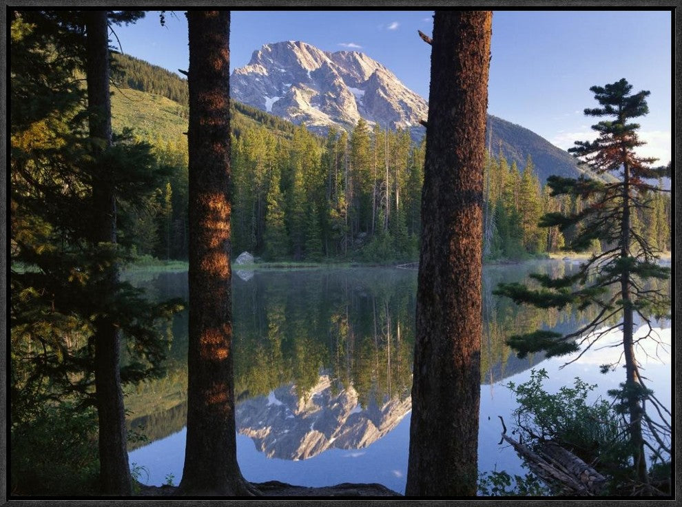 Mt Moran Reflected In String Lake, Grand Teton Np, Wyoming, 24"x18"