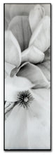 Alan Blaustein ''Magnolia II'' Canvas Art, 6x19
