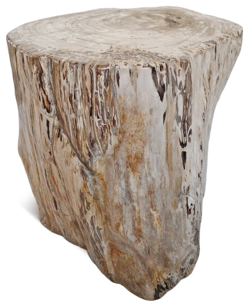 Rustic Petrified Wood Stump Stool Table
