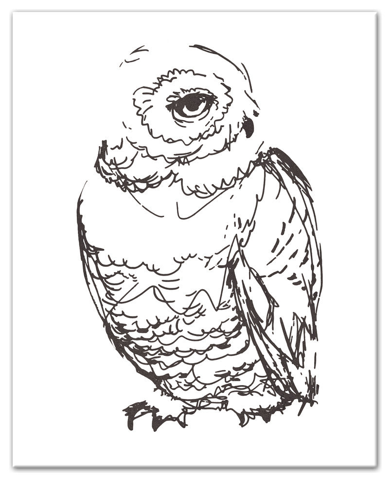 "Owl Sketch" Canvas Wall Art, 16"x20"