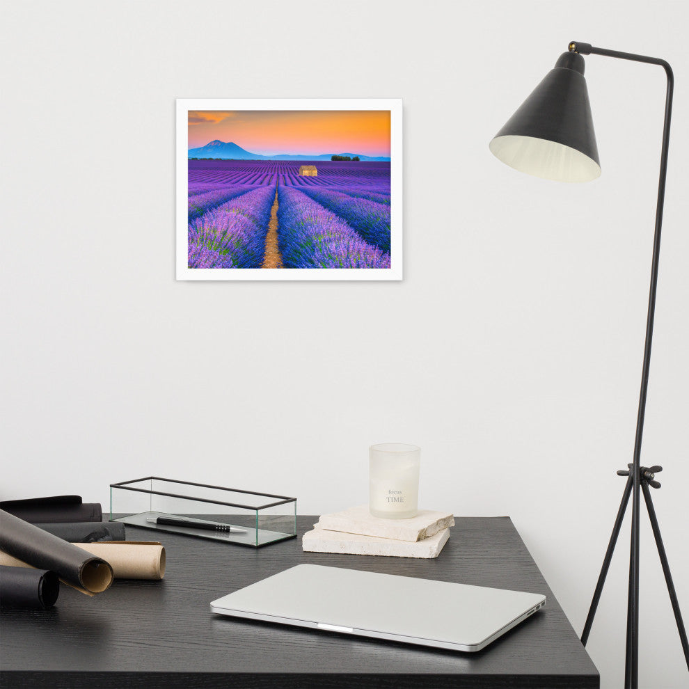 Blooming Lavender Field and Sunset Floral Landscape Framed Photo Wall Art Prints, White, 11" X 14"