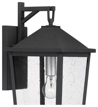 Quoizel STNL8409 Stoneleigh 20" Tall Outdoor Wall Sconce - Mottled Black