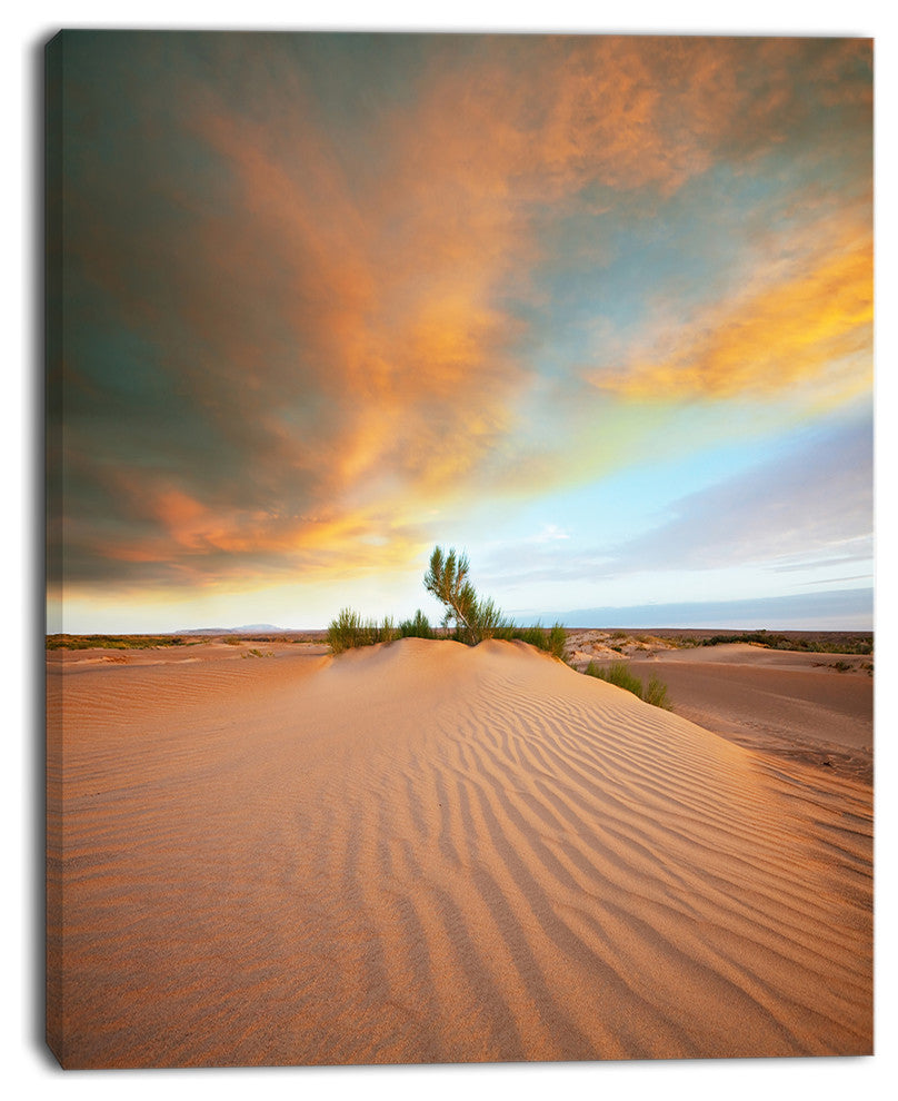 Green Plants in Wide Desert, African Landscape Canvas Art Print, 12"x20"