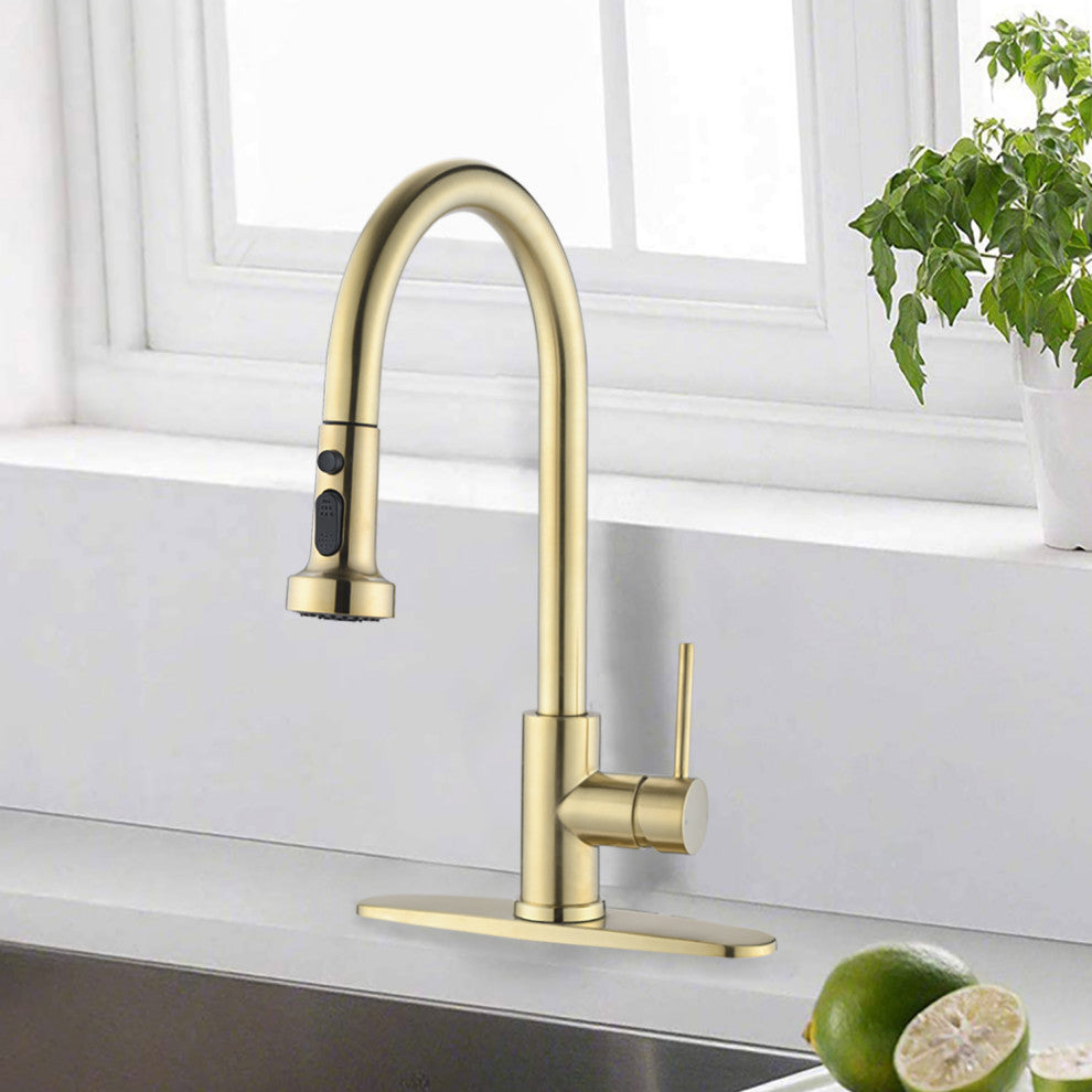 Givingtree Pull Down Kitchen Faucet with Sprayer Brushed Gold