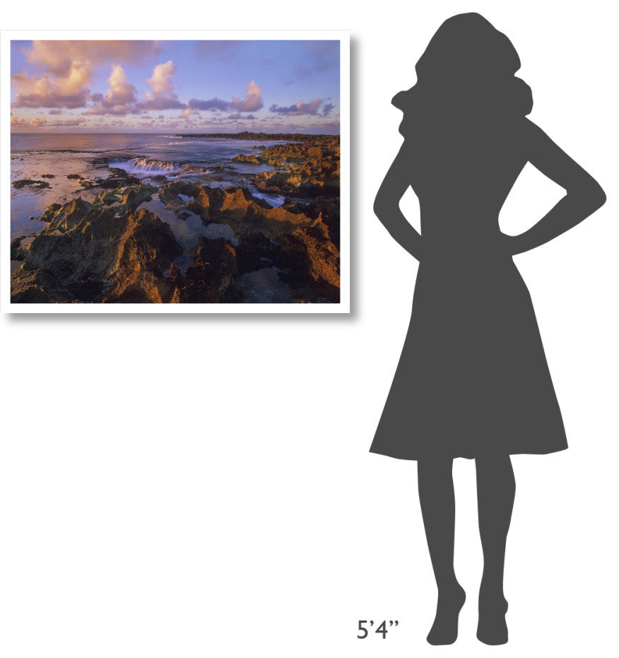"Dusk at Shark's Cove, Oahu, Hawaii" Paper Print by Tim Fitzharris, 37"x30"