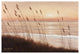 "Breezy Sunset" Digital Paper Print by Diane Romanello, 38"x26"