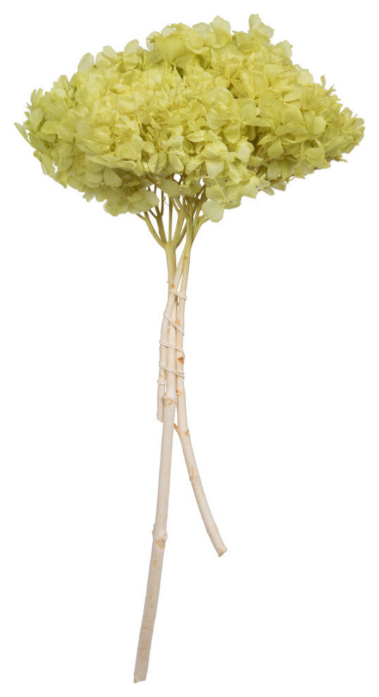 Vickerman Natural Botanicals 15 Hydrangea With Multiple Branch Segments
