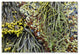 Nicole Dietz 'Latched' Canvas Art, 47x30