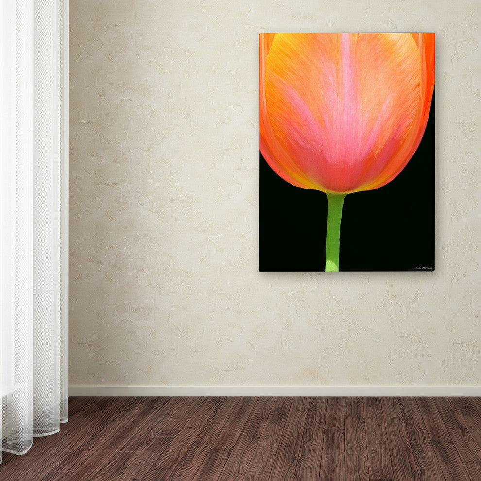 'Orange Tulip' Canvas Art by Kathie McCurdy