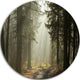 Dark Green Forest With Sun Rays, Landscape Disc Metal Wall Art, 23"