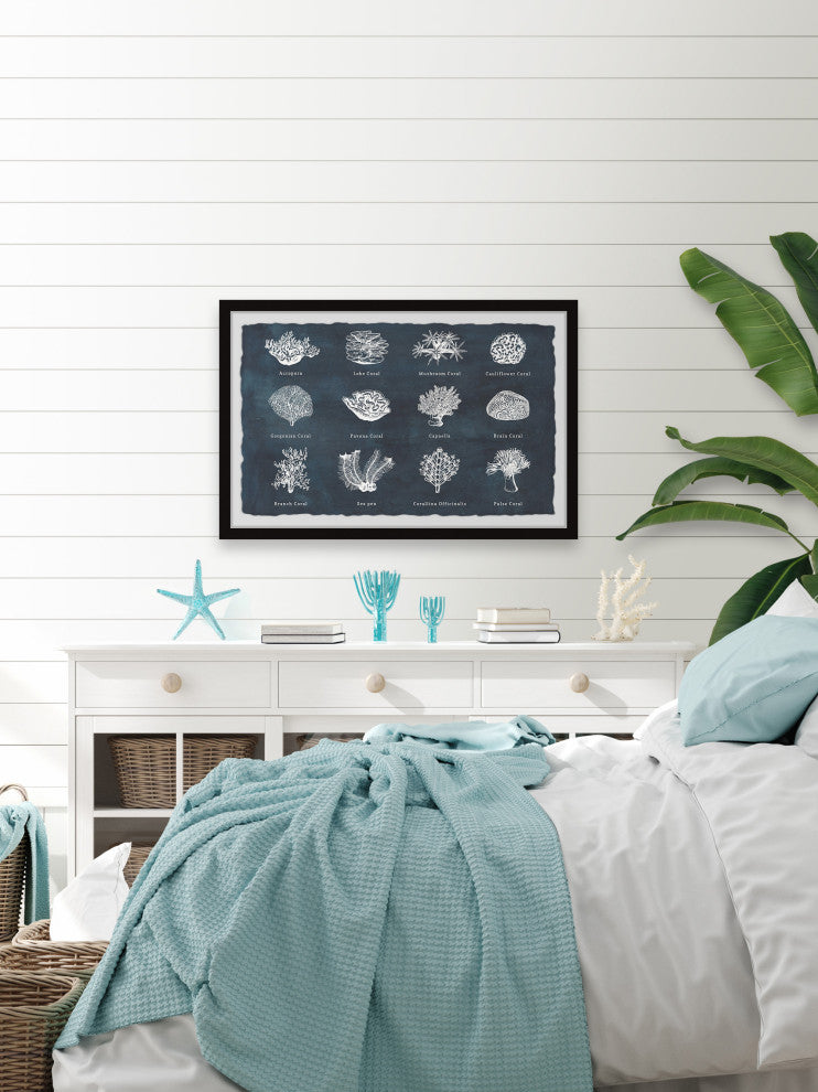 "Coral Identification" Framed Painting Print, 12x8