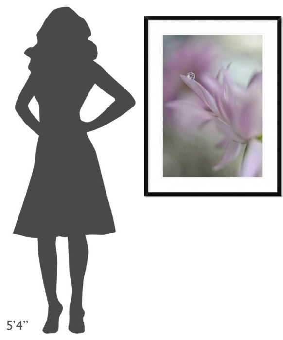 "In Pink Delight" Framed Digital Print by Heidi Westum, 29x38"