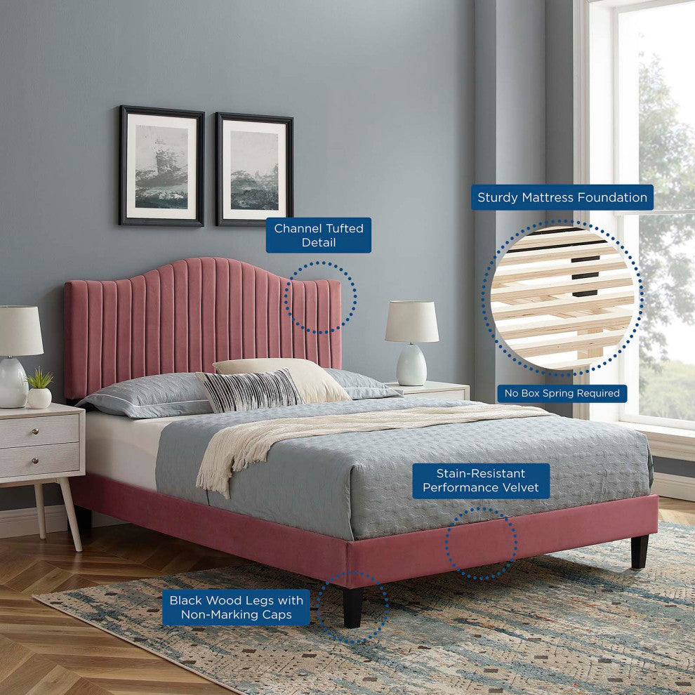Tufted Platform Bed Frame, King Size, Velvet, Pink, Modern Contemporary, Bedroom