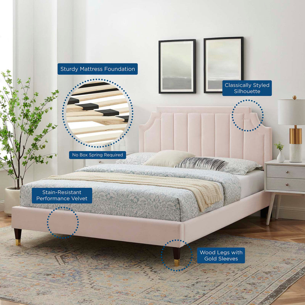 Platform Bed Frame, Queen Size, Velvet, Pink, Modern Contemporary, Bedroom