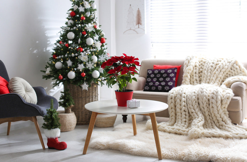 Plum Colored Christmas Stars Christmas Polyester Throw Pillow, 16"x16"