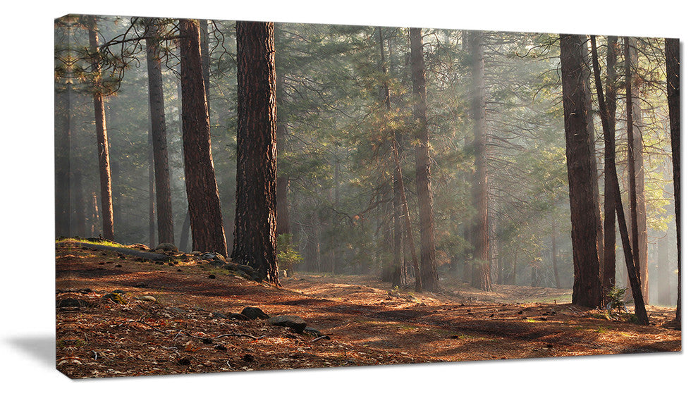 "Rays of Sun in Dense Forest" Photograph Print, 1 Panel, 60"x28"