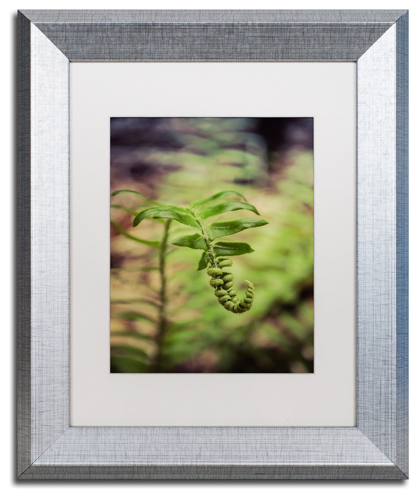 PIPA Fine Art 'Growth of the Forest Floor' Matted Framed Art, 14x11