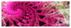 Pink Spiral Kaleidoscope, Abstract Wall Art Canvas, 70"x28", 6 Panels