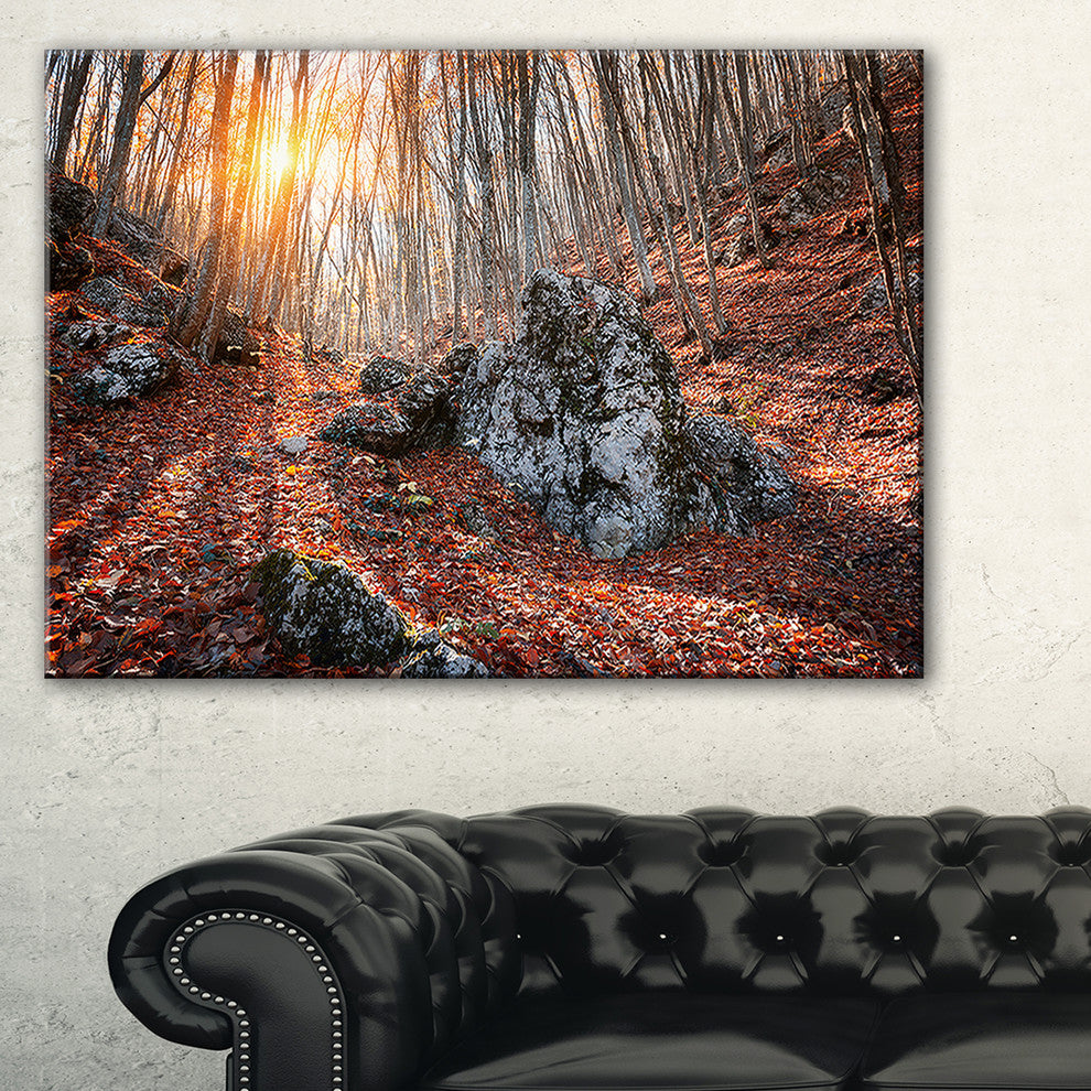 "Rocky Red Autumn Forest" Landscape Photography Canvas Print, 40"x30"