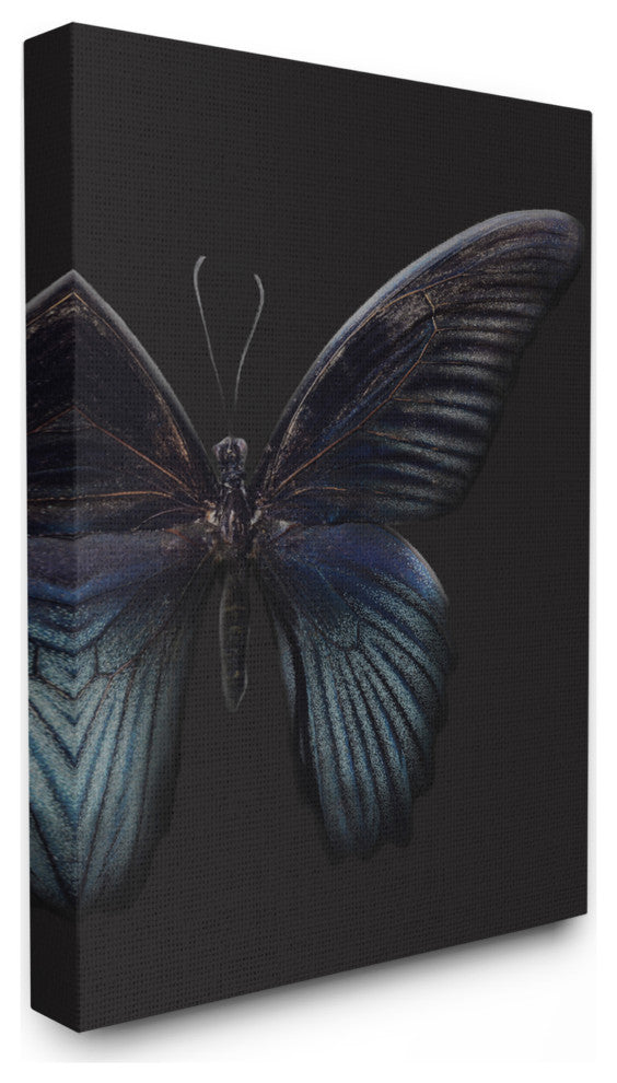 Butterfly Abstract Wings Animal Photograph, 24"x30", Canvas Art