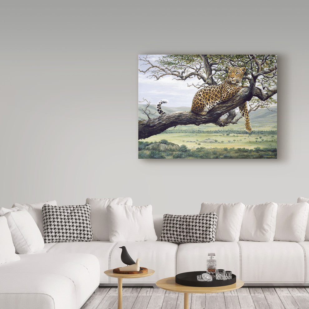 Harro Maass 'Leopard In Tree' Canvas Art, 47"x35"