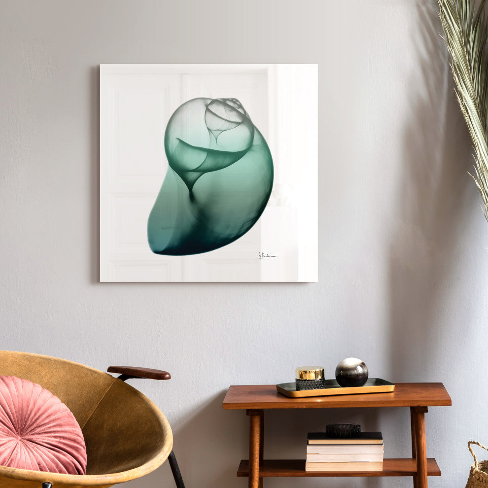 "Shimmering Snail I" Wall Art on Frameless Free Floating Tempered Glass Panel