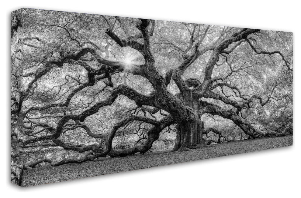 Moises Levy 'The Tree 1 BW' Canvas Art, 24 x 12